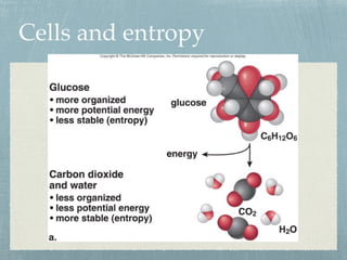 Cells and entropy
 