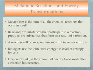 Metabolic Reactions and Energy
Transformations
Metabolism is the sum of all the chemical reactions that
occur in a cell.
Reactants are substances that participate in a reaction;
products are substances that form as a result of a reaction.
A reaction will occur spontaneously if it increases entropy.
Biologists use the term “free energy” instead of entropy
for cells.
Free energy, ∆G, is the amount of energy to do work after
a reaction has occurred.
 