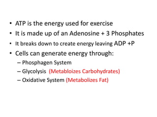 • ATP is the energy used for exercise
• It is made up of an Adenosine + 3 Phosphates
• It breaks down to create energy leaving ADP +P
• Cells can generate energy through:
  – Phosphagen System
  – Glycolysis (Metabloizes Carbohydrates)
  – Oxidative System (Metabolizes Fat)
 