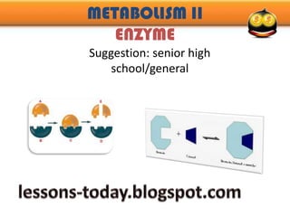 METABOLISM IIENZYME Suggestion: senior high school/general lessons-today.blogspot.com 
