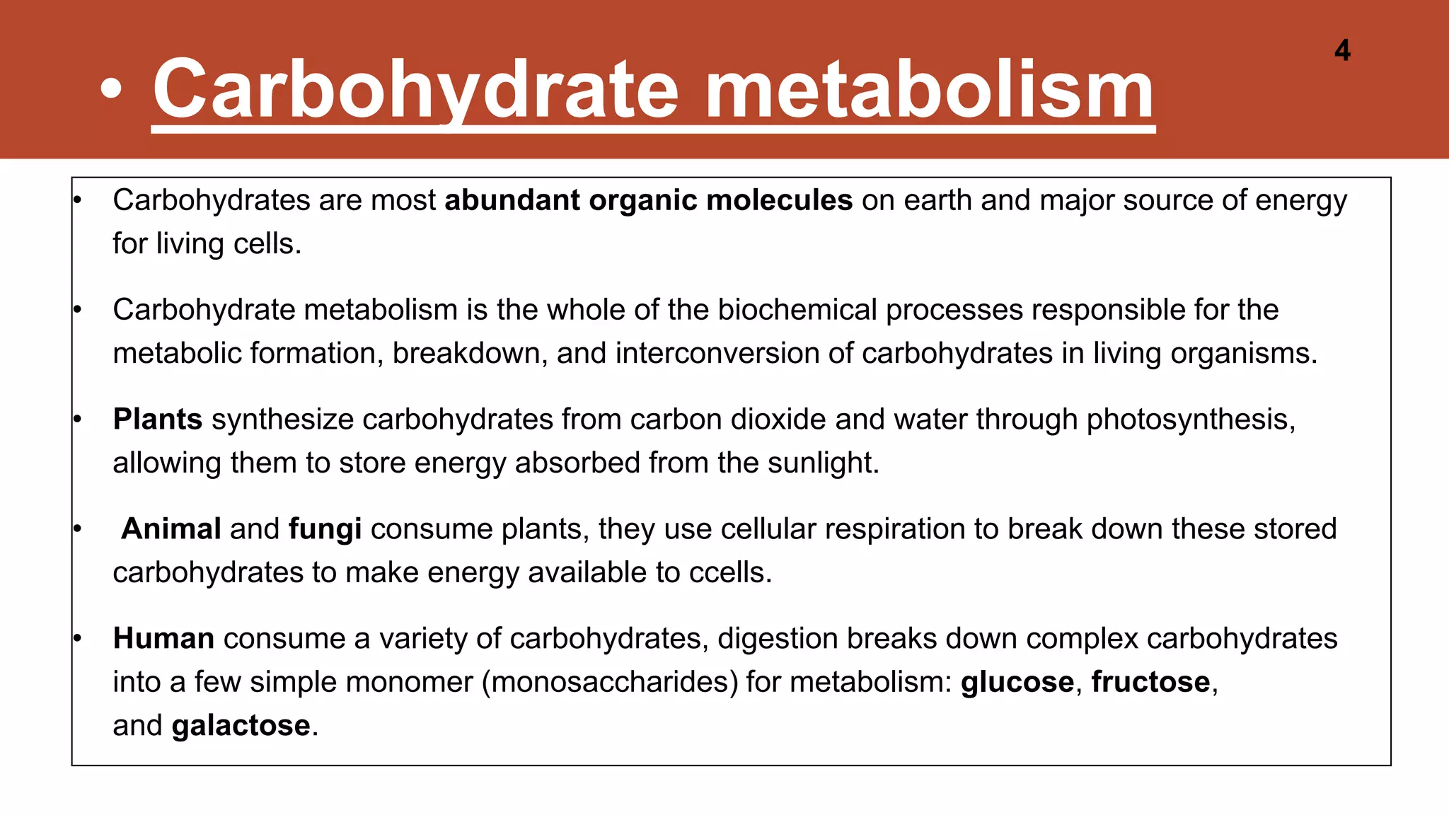 Carbohydrate and Lipid Metabolism @meetpadhiyar | PPTX