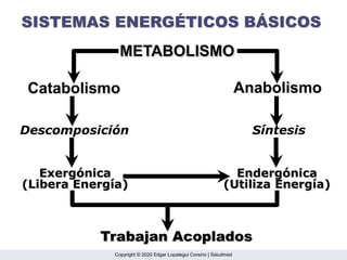 Metabolism_Nu-Dptv_REPASO.ppt