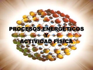 PROCESOS ENERGÉTICOS
          Y
   ACTIVIDAD FÍSICA
 