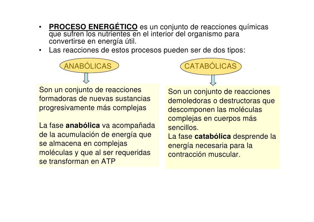 ¿Por dónde empezar con esquema metabolismo celular?