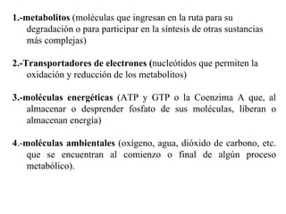 1.- metabolitos  (moléculas que ingresan en la ruta para su degradación o para participar en la síntesis de otras sustancias   más  complejas)  2.-Transportadores de electrones ( nucleótidos que permiten la oxidación y reducción de   los metabolitos)  3.- moléculas energéticas  (ATP y GTP o la Coenzima A que, al almacenar o desprender fosfato de sus moléculas, liberan o almacenan   energía) 4 .- moléculas ambientales  (oxígeno, agua, dióxido de carbono, etc. que se encuentran al comienzo o final de algún proceso metabólico). 