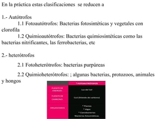 En la práctica estas clasificaciones  se reducen a 1.- Autótrofos 1.1 Fotoautótrofos: Bacterias fotosintéticas y vegetales con clorofila 1.2 Quimioautótrofos: Bacterias quimiosintéticas como las bacterias nitrificantes, las ferrobacterias, etc   2.- heterótrofos 2.1 Fotoheterótrofos: bacterias purpúreas 2.2 Quimioheterótrofos: ; algunas bacterias, protozoos, animales y hongos 