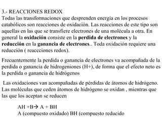 3.- REACCIONES REDOX Todas las transformaciones que desprenden energía en los procesos catabólicos son reacciones de oxidación. Las reacciones de este tipo son aquellas en las que se transfiere electrones de una molécula a otra. En general la  oxidación  consiste en la  perdida de electrones  y la  reducción  en la  ganancia de electrones .. Toda oxidación requiere una reducción ( reaccciones redox).  Frecuentemente la perdida o ganancia de electrones va acompañada de la perdida o ganancia de hidrogeniones (H+), de forma que el efecto neto es la perdida o ganancia de hidrógenos  Las oxidaciones van acompañadas de pérdidas de átomos de hidrógeno. Las moléculas que ceden átomos de hidrógeno se oxidan , mientras que las que los aceptan se reducen AH +B   A + BH A (compuesto oxidado) BH (compuesto reducido 