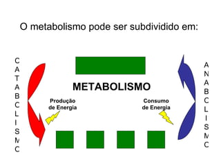 O metabolismo pode ser subdividido em: METABOLISMO ANABOLISMO CATABOLISMO Produção de Energia Consumo de Energia 