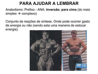 Anabolismo: Prefixo - ANA:  inversão ;  para cima  (do mais simples    complexo)  Conjunto de reações de síntese. Onde pode ocorrer gasto de energia ou não (sendo esta uma maneira de estocar energia). PARA AJUDAR A LEMBRAR 