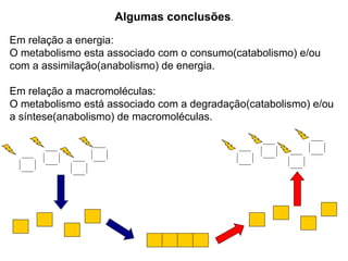 Algumas conclusões . Em relação a energia: O metabolismo esta associado com o consumo(catabolismo) e/ou  com a assimilação(anabolismo) de energia. Em relação a macromoléculas: O metabolismo está associado com a degradação(catabolismo) e/ou a síntese(anabolismo) de macromoléculas. 