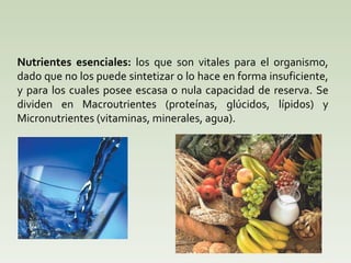 Nutrientes esenciales:  los que son vitales para el organismo, dado que no los puede sintetizar  o lo hace en forma insuficiente, y para los cuales posee escasa o nula capacidad de reserva. Se dividen en Macroutrientes (proteínas, glúcidos, lípidos) y Micronutrientes (vitaminas, minerales, agua).   