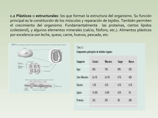 c.2 Plásticos  o  estructurales : los que forman la estructura del organismo. Su función principal es la constitución de los músculos y reparación de tejidos. También permiten el crecimiento del organismo. Fundamentalmente  las proteínas, ciertos lípidos (colesterol), y algunos elementos minerales (calcio, fósforo, etc.). Alimentos plásticos por excelencia son leche, queso, carne, huevos, pescado, etc. 