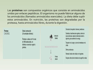 Las  proteínas  son compuestos orgánicos que consiste en aminoácidos unidos por enlaces peptídicos. El organismo no puede fabricar alguno de los aminoácidos (llamados aminoácidos esenciales). La dieta debe suplir estos aminoácidos. En nutrición, las proteínas son degradadas por la proteasa, hasta aminoácidos libres, durante la digestión.  