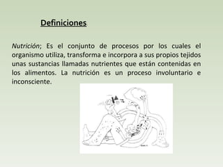 Definiciones : Nutrición ; Es el conjunto de procesos por los cuales el organismo utiliza, transforma e incorpora a sus propios tejidos unas sustancias llamadas nutrientes que están contenidas en los alimentos. La nutrición es un proceso involuntario e inconsciente. 