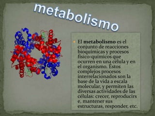 metabolismo El metabolismo es el conjunto de reacciones bioquímicas y procesos físico-químicos que ocurren en una célula y en el organismo. Éstos complejos procesos interrelacionados son la base de la vida a escala molecular, y permiten las diversas actividades de las células: crecer, reproducirse, mantener sus estructuras, responder, etc. 