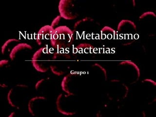 Nutrición y Metabolismo de las bacterias Grupo 1 