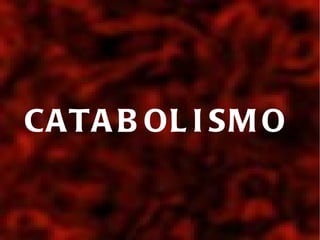 CATABOLISMO  