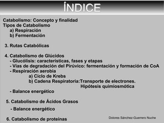 ÍNDICE Catabolismo: Concepto y finalidad Tipos de Catabolismo a) Respiración b) Fermentación  3. Rutas Catabólicas 4. Catabolismo de Glúcidos  - Glucólisis: características, fases y etapas - Vías de degradación del Pirúvico: fermentación y formación de CoA  - Respiración aerobia a) Ciclo de Krebs b) Cadena Respiratoria:Transporte de electrones. Hipótesis quimiosmótica  - Balance energético 5. Catabolismo de Ácidos Grasos - Balance energético 6. Catabolismo de proteínas Dolores Sánchez-Guerrero Nuche 