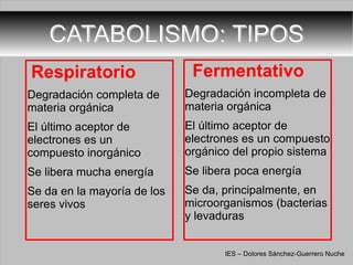 CATABOLISMO: TIPOS Fermentativo Degradación incompleta de materia orgánica El último aceptor de electrones es un compuesto orgánico del propio sistema Se libera poca energía Se da, principalmente, en microorganismos (bacterias y levaduras Respiratorio Degradación completa de materia orgánica El último aceptor de electrones es un compuesto inorgánico  Se libera mucha energía Se da en la mayoría de los seres vivos IES – Dolores Sánchez-Guerrero Nuche 