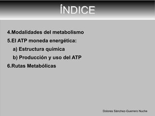 ÍNDICE 4.Modalidades del metabolismo 5.El ATP moneda energética: a) Estructura química b) Producción y uso del ATP 6.Rutas Metabólicas Dolores Sánchez-Guerrero Nuche 