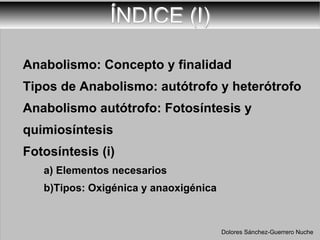 ÍNDICE (I) Anabolismo: Concepto y finalidad Tipos de Anabolismo: autótrofo y heterótrofo Anabolismo autótrofo: Fotosíntesis y quimiosíntesis Fotosíntesis (i) a) Elementos necesarios b)Tipos: Oxigénica y anaoxigénica Dolores Sánchez-Guerrero Nuche 