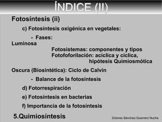 ÍNDICE (II) Fotosíntesis (ii) c) Fotosíntesis oxigénica en vegetales: -  Fases:  Luminosa  Fotosistemas: componentes y tipos Fotofoforilación: acíclica y cíclica,  hipótesis Quimiosmótica Oscura (Biosintética): Ciclo de Calvin -  Balance de la fotosíntesis  d) Fotorrespiración  e) Fotosíntesis en bacterias f) Importancia de la fotosíntesis  5.Quimiosíntesis Dolores Sánchez-Guerrero Nuche 