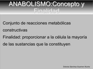 ANABOLISMO:Concepto y Finalidad Conjunto de reacciones metabólicas constructivas Finalidad: proporcionar a la célula la mayoría de las sustancias que la constituyen Dolores Sánchez-Guerrero Nuche 