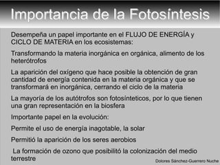 Importancia de la Fotosíntesis Desempeña un papel importante en el FLUJO DE ENERGÍA y CICLO DE MATERIA en los ecosistemas: Transformando la materia inorgánica en orgánica, alimento de los heterótrofos La aparición del oxígeno que hace posible la obtención de gran cantidad de energía contenida en la materia orgánica y que se transformará en inorgánica, cerrando el ciclo de la materia La mayoría de los autótrofos son fotosínteticos, por lo que tienen una gran representación en la biosfera Importante papel en la evolución: Permite el uso de energía inagotable, la solar Permitió la aparición de los seres aerobios La formación de ozono que posibilitó la colonización del medio terrestre Dolores Sánchez-Guerrero Nuche 