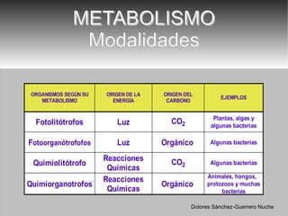 METABOLISMO Modalidades Dolores Sánchez-Guerrero Nuche 