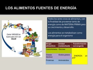 Todos los seres vivos se alimentan, con
  la finalidad de proveerse tanto de
  energía como de MATERIA PRIMA para
  su crecimiento y desarrollo.

  Los alimentos se metabolizan como
  energía para el organismo.


Grupo         Unidad          Transformación
alimenticio   metabolizada    convergente
Carbohidratos Glucosa


Grasas        Ácidos grasos
                                ENERGÍA   en
(lípidos)
                              ATP
Proteínas     Aminoácidos
 