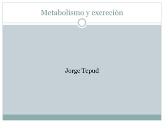 Metabolismo y excreción




      Jorge Tepud
 