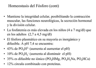 Metabolismo