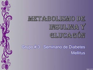 Grupo # 3 Seminario de Diabetes
Mellitus
 