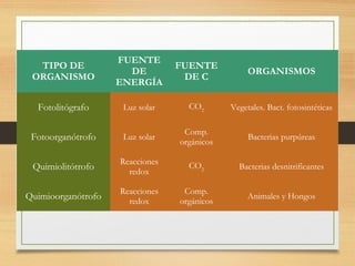 TIPO DE
ORGANISMO

FUENTE
DE
ENERGÍA

FUENTE
DE C

ORGANISMOS

Fotolitógrafo

Luz solar

CO2

Vegetales. Bact. fotosintéticas

Fotoorganótrofo

Luz solar

Comp.
orgánicos

Bacterias purpúreas

Quimiolitótrofo

Reacciones
redox

CO2

Bacterias desnitrificantes

Quimioorganótrofo

Reacciones
redox

Comp.
orgánicos

Animales y Hongos

 