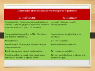 Diferencias entre catalizadores biológicos y químicos
BIOLÓGICOS

QUÍMICOS

Son específicos para una determinada reacción Aceleran cualquier reacción
química o para un grupo de reacciones químicas inespecíficamente.
a para un sustrato o grupo de sustratos.
Son proteínas (aunque hay ARN –Ribozimascon función enzimática).

Son sustancias simples finamente
divididas.

Son saturables

No son saturables.

Son altamente eficaces (son eficaces en bajas
concentraciones).

Son medianamente eficaces.

Puede ser regulada su actividad catalítica.

No pueden ser regulados.

Son termolábiles y su actividad puede variar
también de acuerdo al pH del medio.

No son termolábiles ni se alteran con
cambios de pH.

 