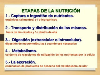 ETAPAS DE LA NUTRICIÓN
1.- Captura e ingestión de nutrientes.
orgánicos (alimentos) y / o inorgánicos

2.- Transporte y distribución de los mismos.
fuera de las células y / o dentro de ella

3.- Digestión (extracelular o intracelular).
digestión de macromoléculas ( cuando sea necesaria)

4.- Metabolismo.
conjunto de reacciones de utilización de los nutrientes por la célula

5.- La excreción.
eliminación de productos de desecho del metabolismo celular

 