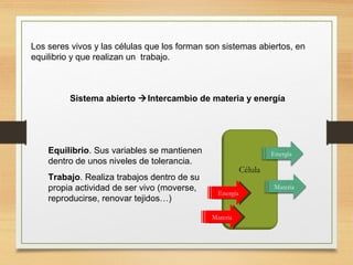 Los seres vivos y las células que los forman son sistemas abiertos, en
equilibrio y que realizan un trabajo.

Sistema abierto Intercambio de materia y energía

Equilibrio. Sus variables se mantienen
dentro de unos niveles de tolerancia.
Trabajo. Realiza trabajos dentro de su
propia actividad de ser vivo (moverse,
reproducirse, renovar tejidos…)

Energía

Célula
Energía
Energía
Materia
Materia

Materia

 