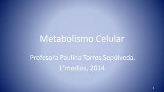 Metabolismo Celular
Profesora Paulina Torres Sepúlveda.
1°medios, 2014.
1
 
