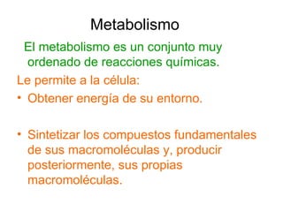 Metabolismo
El metabolismo es un conjunto muy
ordenado de reacciones químicas.
Le permite a la célula:
• Obtener energía de su entorno.
• Sintetizar los compuestos fundamentales
de sus macromoléculas y, producir
posteriormente, sus propias
macromoléculas.
 