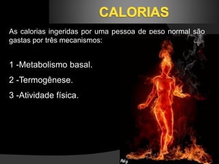 As calorias ingeridas por uma pessoa de peso normal são 
gastas por três mecanismos: 
1 -Metabolismo basal. 
2 -Termogênese. 
3 -Atividade física. 
 