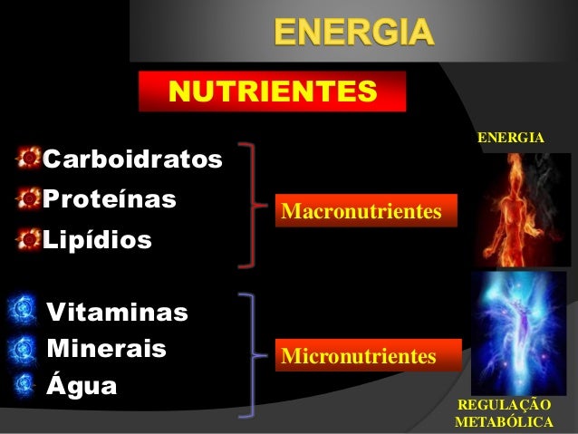 explique la funcion del atp en el metabolismo celular cura