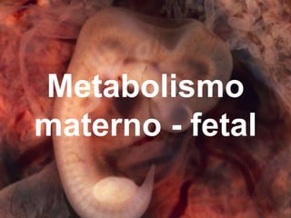 Metabolismo
materno - fetal
 