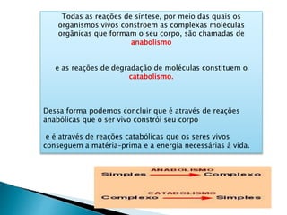 Todas as reações de síntese, por meio das quais os
organismos vivos constroem as complexas moléculas
orgânicas que formam o seu corpo, são chamadas de
anabolismo
e as reações de degradação de moléculas constituem o
catabolismo.
Dessa forma podemos concluir que é através de reações
anabólicas que o ser vivo constrói seu corpo
e é através de reações catabólicas que os seres vivos
conseguem a matéria–prima e a energia necessárias à vida.
 
