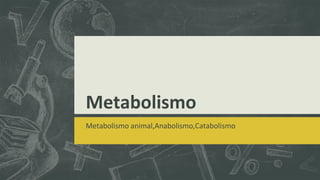 Metabolismo
Metabolismo animal,Anabolismo,Catabolismo
 