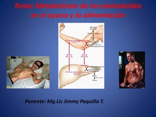 Tema: Metabolismo de los aminoácidos
en el ayuno y la alimentación

Ponente: Mg.Lic Jimmy Paquillo T.

 