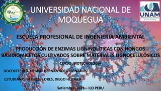 UNIVERSIDAD NACIONAL DE
MOQUEGUA
ESCUELA PROFESIONAL DE INGENIERIA AMBIENTAL
PRODUCCIÓN DE ENZIMAS LIGNINOLÍTICAS CON HONGOS
BASIDIOMICETOS CULTIVADOS SOBRE MATERIALES LIGNOCELULÓSICOS
CURSO: BIOTECNOLOGIA
DOCENTE: BLG. HEBERT HERNAN SOTO GONZALES
ESTUDIANTE: FLORES FLORES, DIEGO HERNAN
Setiembre, 2021 – ILO PERU
 