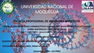 UNIVERSIDAD NACIONAL DE
MOQUEGUA
ESCUELA PROFESIONAL DE INGENIERIA AMBIENTAL
PRODUCCIÓN DE ENZIMAS LIGNINOLÍTICAS CON HONGOS BASIDIOMICETOS CULTIVADOS
SOBRE MATERIALES LIGNOCELULÓSICOS
CURSO: BIOTECNOLOGIA
DOCENTE: BLG. HEBERT HERNAN SOTO GONZALES
ESTUDIANTE: FLORES FLORES, DIEGO HERNAN
Setiembre, 2021 – ILO PERU
Juan C. QUINTERO D. , Gumersindo FEIJOO C. y Juan M. LEMA R.
 