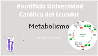 Metabolismo




Docente Hítalo Pucha
BIOQUÍMICA
Pontificia Universidad
Católica del Ecuador
 