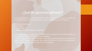 ¿Qué es gluconeogénesis?
La gluconeogénesis, es la formación de moléculas nuevas de glucosa a partir de
precursores que no son carbohidratos, ocurre principalmente en el hígado.
Estos precursores son
• El lactato
• El piruvato
• El glicerol y determinados cetoácidos
Entre las comidas se mantienen concentraciones sanguíneas adecuadas de glucosa
por medio de la hidrólisis del glucógeno hepático.
Cuando se agota el glucógeno hepático la vía de la gluconeogénesis proporciona al
organismo la cantidad de glucosa adecuada. El cerebro y los eritrocitos dependen
exclusivamente de la glucosa como fu ente de energía.
 