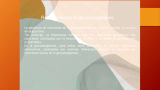 Reacciones de la gluconeogénesis
La secuencia de reacciones de la gluconeogénesis es, en gran medida, la inversa
de la glucólisis.
Sin embargo, es importante recordar que tres reacciones glucolíticas (las
reacciones catalizadas por la hexocinasa, la PFK-I y la cinasa de piruvato) son
irreversibles.
En la gluconeogénesis, para evitar estos obstáculos, se utilizan reacciones
alternativas catalizadas por enzimas diferentes. Después se resumen las
reacciones únicas de la gluconeogénesis.
 